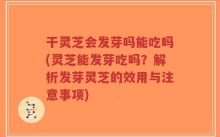 干灵芝会发芽吗能吃吗(灵芝能发芽吃吗？解析发芽灵芝的效用与注意事项)