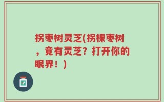 拐枣树灵芝(拐棵枣树，竟有灵芝？打开你的眼界！)