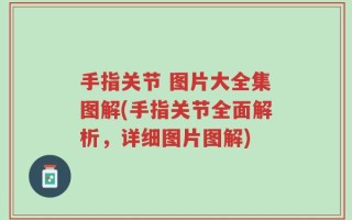 手指关节 图片大全集图解(手指关节全面解析，详细图片图解)