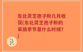 东北灵芝孢子粉几月收获(东北灵芝孢子粉的采摘季节是什么时候？)