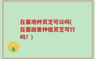 在墓地种灵芝可以吗(在墓园里种植灵芝可行吗？)