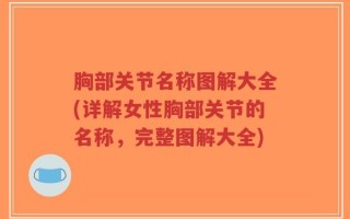 胸部关节名称图解大全(详解女性胸部关节的名称，完整图解大全)