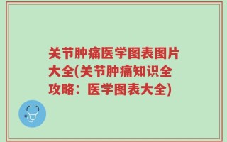 关节肿痛医学图表图片大全(关节肿痛知识全攻略：医学图表大全)