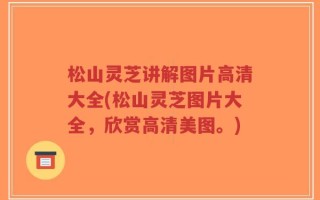 松山灵芝讲解图片高清大全(松山灵芝图片大全，欣赏高清美图。)