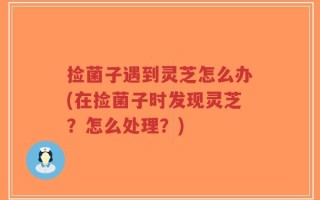 捡菌子遇到灵芝怎么办(在捡菌子时发现灵芝？怎么处理？)