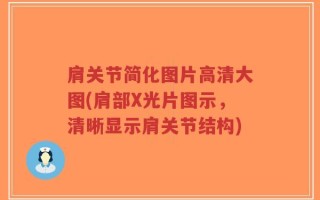 肩关节简化图片高清大图(肩部X光片图示，清晰显示肩关节结构)