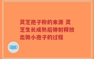 灵芝孢子粉的来源 灵芝生长成熟后弹射释放出微小孢子的过程