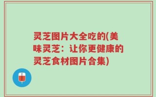 灵芝图片大全吃的(美味灵芝：让你更健康的灵芝食材图片合集)