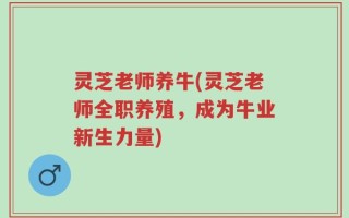灵芝老师养牛(灵芝老师全职养殖，成为牛业新生力量)