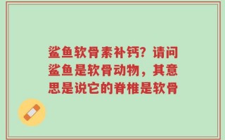 鲨鱼软骨素补钙？请问鲨鱼是软骨动物，其意思是说它的脊椎是软骨