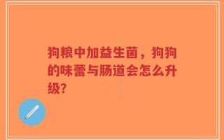 狗粮中加益生菌，狗狗的味蕾与肠道会怎么升级？