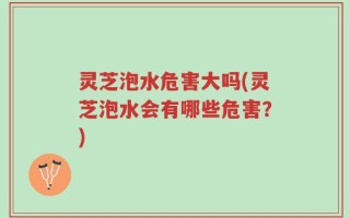 灵芝泡水危害大吗(灵芝泡水会有哪些危害？)