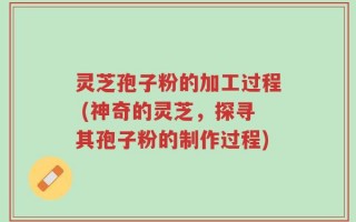 灵芝孢子粉的加工过程 (神奇的灵芝，探寻其孢子粉的制作过程)