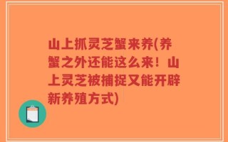 山上抓灵芝蟹来养(养蟹之外还能这么来！山上灵芝被捕捉又能开辟新养殖方式)
