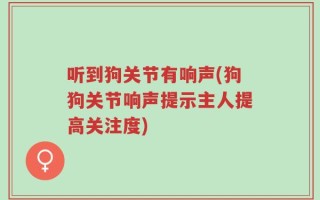 听到狗关节有响声(狗狗关节响声提示主人提高关注度)