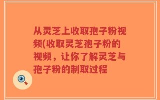 从灵芝上收取孢子粉视频(收取灵芝孢子粉的视频，让你了解灵芝与孢子粉的制取过程
