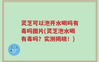 灵芝可以泡开水喝吗有毒吗图片(灵芝泡水喝有毒吗？实测揭晓！)