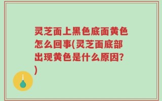 灵芝面上黑色底面黄色怎么回事(灵芝面底部出现黄色是什么原因？)