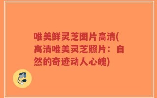 唯美鲜灵芝图片高清(高清唯美灵芝照片：自然的奇迹动人心魄)