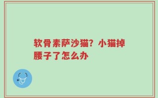软骨素萨沙猫？小猫掉腰子了怎么办