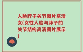 人脸脖子关节图片高清女(女性人脸与脖子的关节结构高清图片展示)