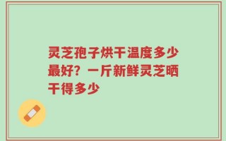 灵芝孢子烘干温度多少最好？一斤新鲜灵芝晒干得多少