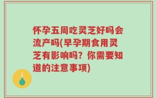 怀孕五周吃灵芝好吗会流产吗(早孕期食用灵芝有影响吗？你需要知道的注意事项)