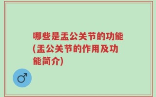 哪些是盂公关节的功能(盂公关节的作用及功能简介)