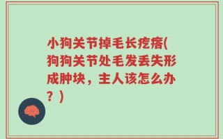 小狗关节掉毛长疙瘩(狗狗关节处毛发丢失形成肿块，主人该怎么办？)