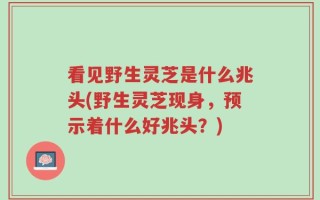 看见野生灵芝是什么兆头(野生灵芝现身，预示着什么好兆头？)