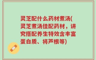 灵芝配什么药材煮汤(灵芝煮汤佳配药材，讲究搭配养生特效含丰富蛋白质、将芦根等)
