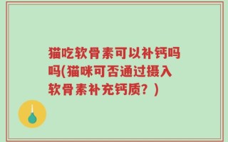 猫吃软骨素可以补钙吗吗(猫咪可否通过摄入软骨素补充钙质？)