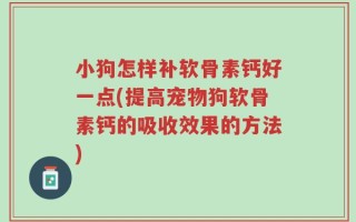 小狗怎样补软骨素钙好一点(提高宠物狗软骨素钙的吸收效果的方法)