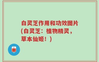 白灵芝作用和功效图片(白灵芝：植物精灵，草本仙姬！)