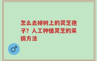 怎么去掉树上的灵芝孢子？人工种植灵芝的采摘方法