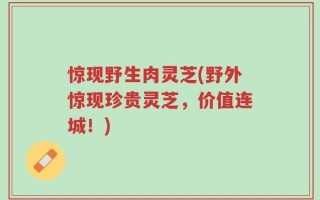 惊现野生肉灵芝(野外惊现珍贵灵芝，价值连城！)