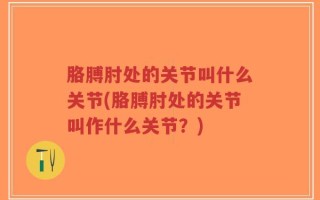 胳膊肘处的关节叫什么关节(胳膊肘处的关节叫作什么关节？)