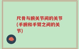 尺骨与腕关节间的关节(手腕和手臂之间的关节)