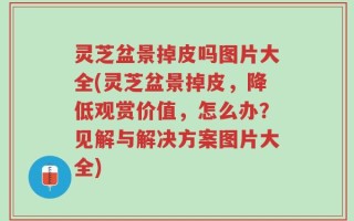 灵芝盆景掉皮吗图片大全(灵芝盆景掉皮，降低观赏价值，怎么办？见解与解决方案图片大全)