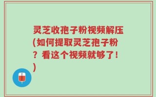灵芝收孢子粉视频解压(如何提取灵芝孢子粉？看这个视频就够了！)
