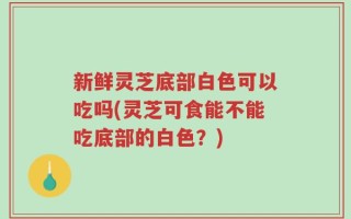 新鲜灵芝底部白色可以吃吗(灵芝可食能不能吃底部的白色？)