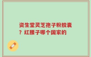 资生堂灵芝孢子粉胶囊？红腰子哪个国家的