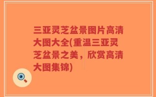 三亚灵芝盆景图片高清大图大全(重温三亚灵芝盆景之美，欣赏高清大图集锦)