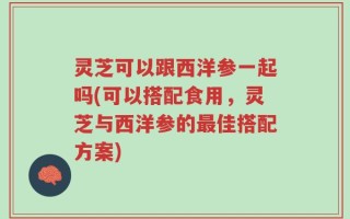 灵芝可以跟西洋参一起吗(可以搭配食用，灵芝与西洋参的最佳搭配方案)