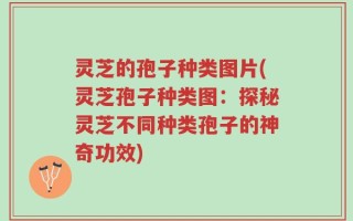 灵芝的孢子种类图片(灵芝孢子种类图：探秘灵芝不同种类孢子的神奇功效)