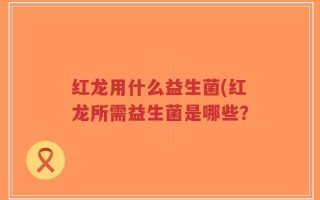 红龙用什么益生菌(红龙所需益生菌是哪些？