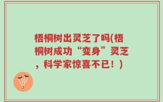 梧桐树出灵芝了吗(梧桐树成功“变身”灵芝，科学家惊喜不已！)