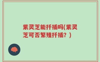 紫灵芝能扦插吗(紫灵芝可否繁殖扦插？)