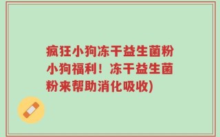 疯狂小狗冻干益生菌粉小狗福利！冻干益生菌粉来帮助消化吸收)
