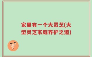 家里有一个大灵芝(大型灵芝家庭养护之道)